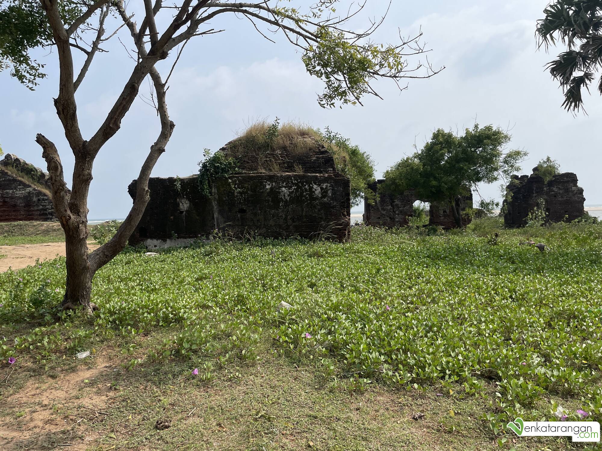 Whats left of the ruined buildings 