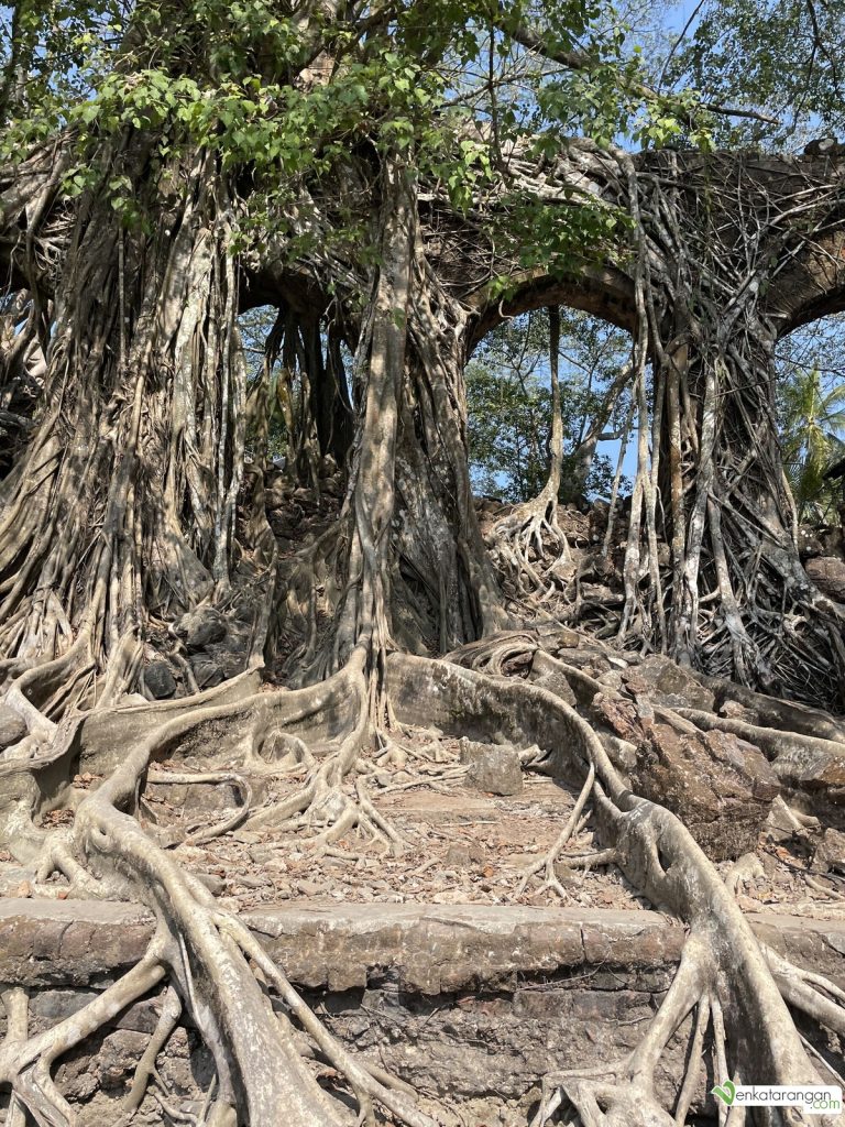 British era building ruins in Ross Island