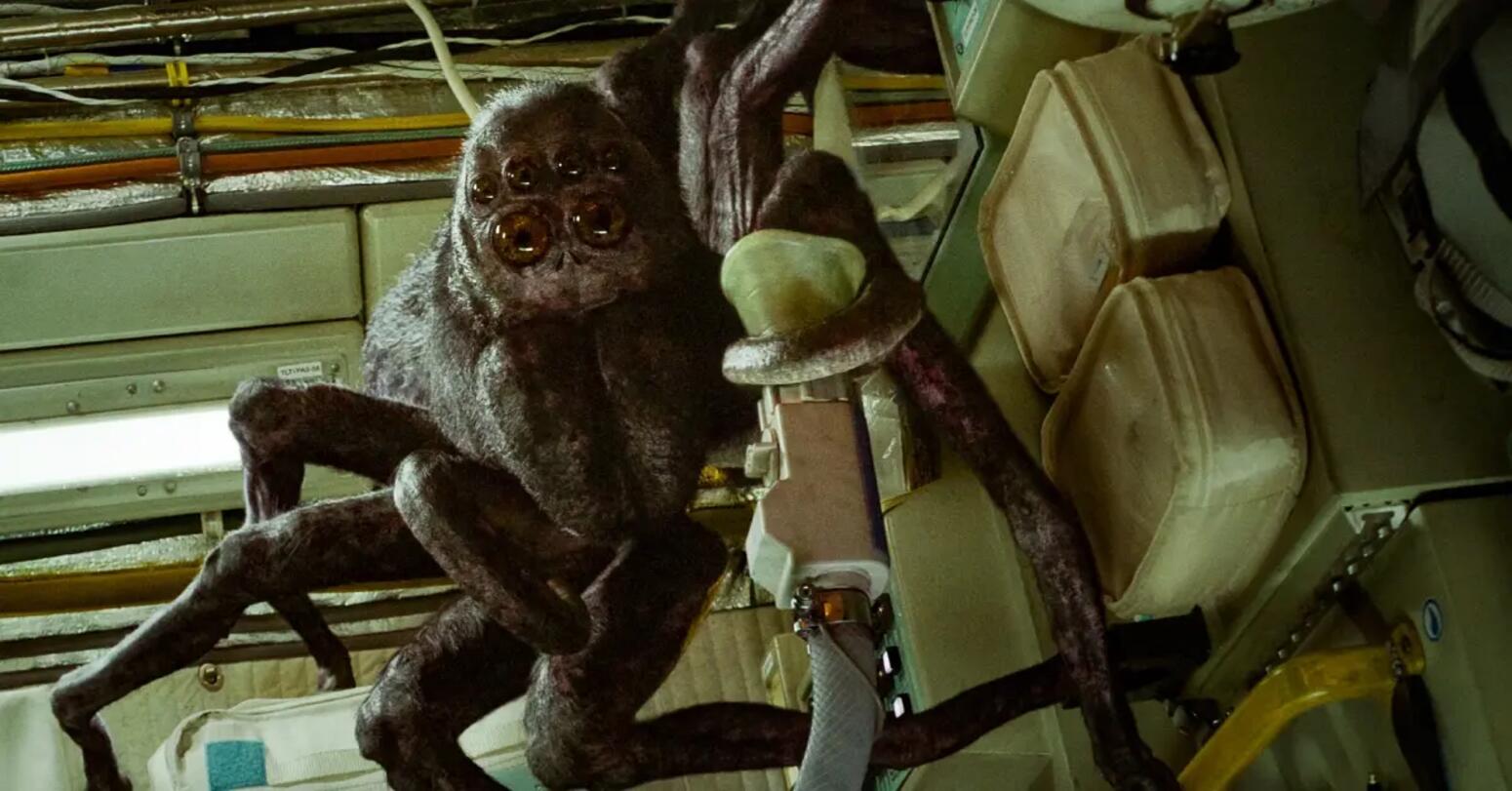 Extraterrestrial spider, whom Jakub names Hanus