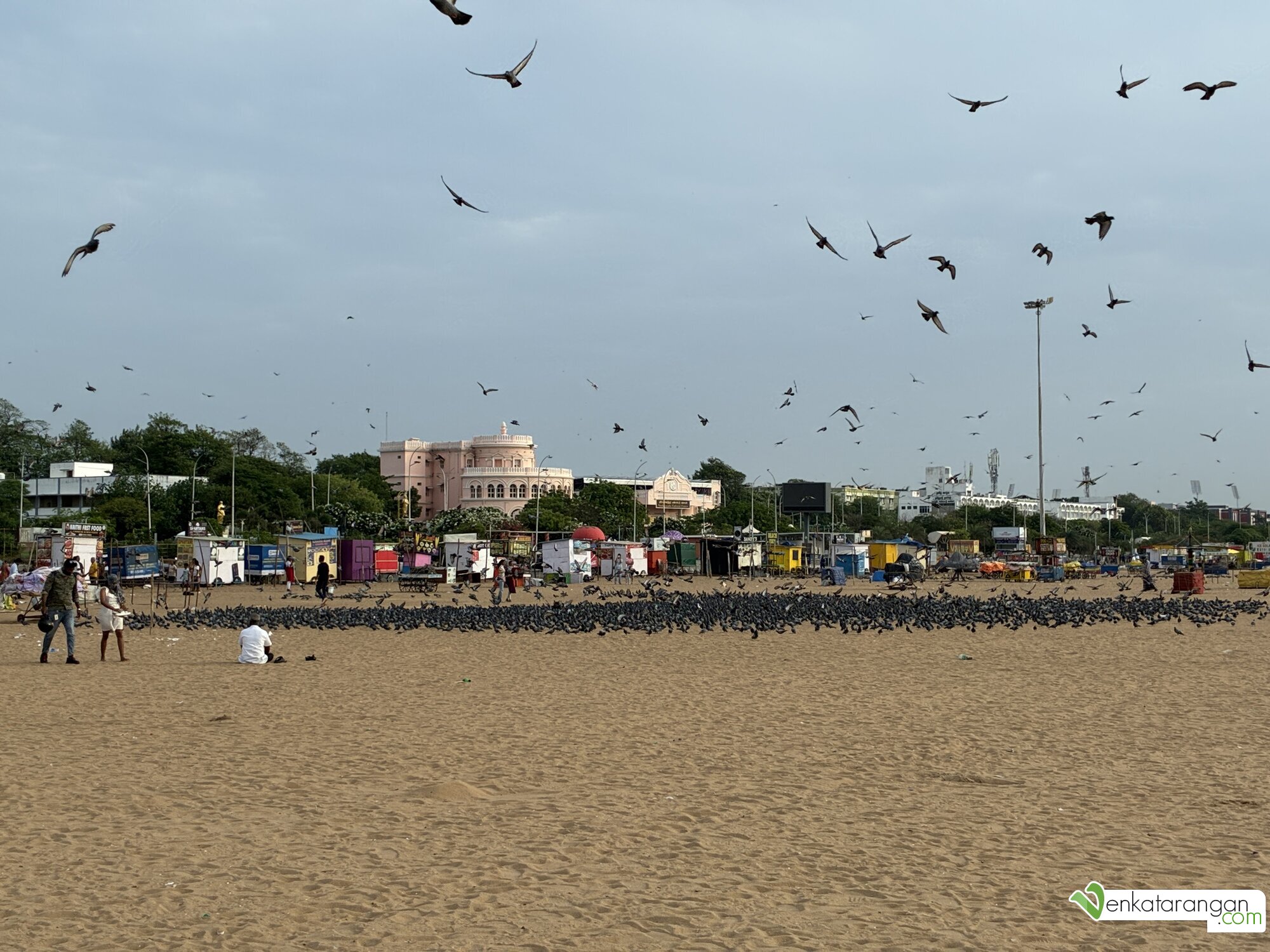 மெரினா கடற்கரை