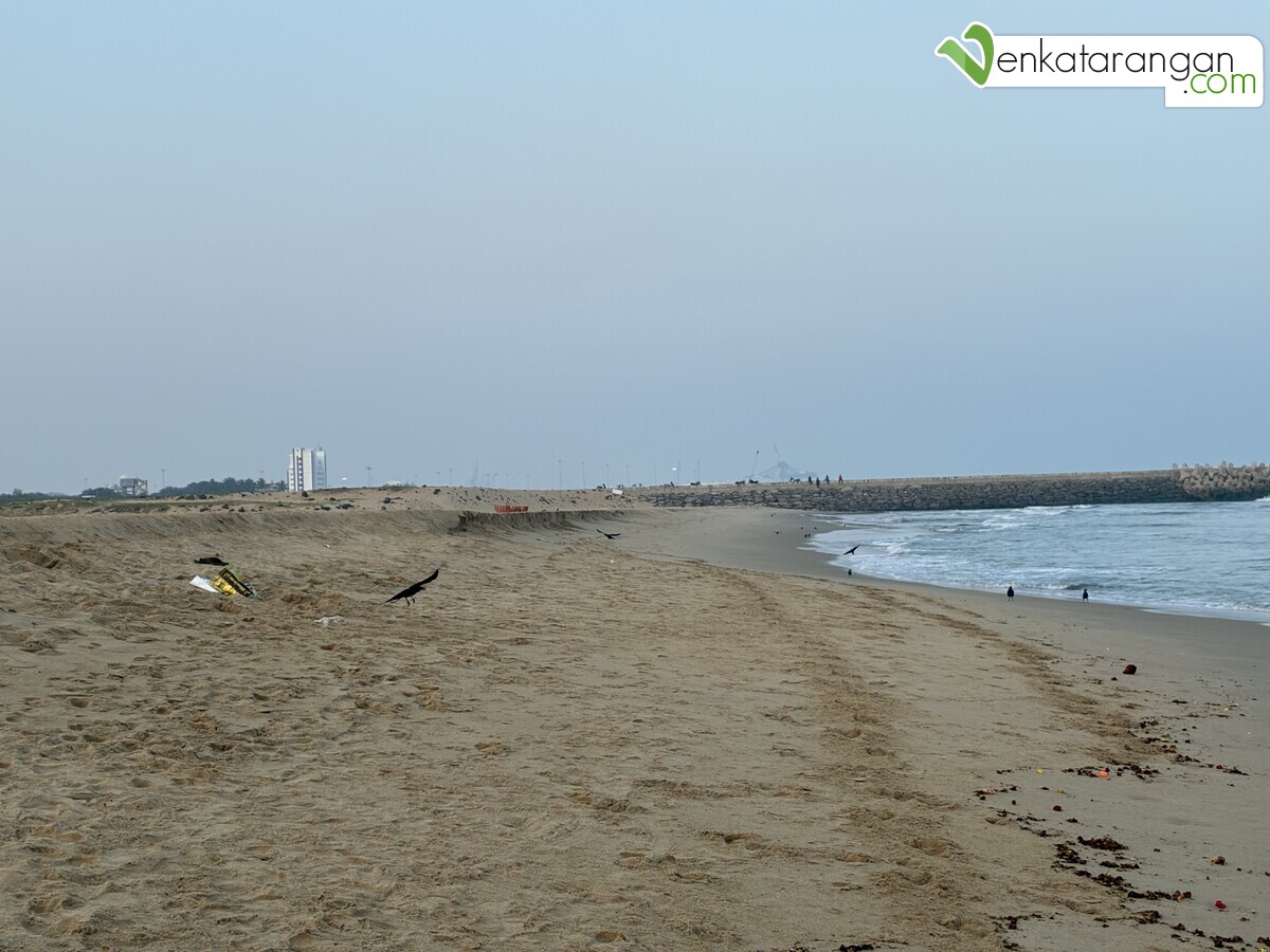 Near the Cooum estuary 